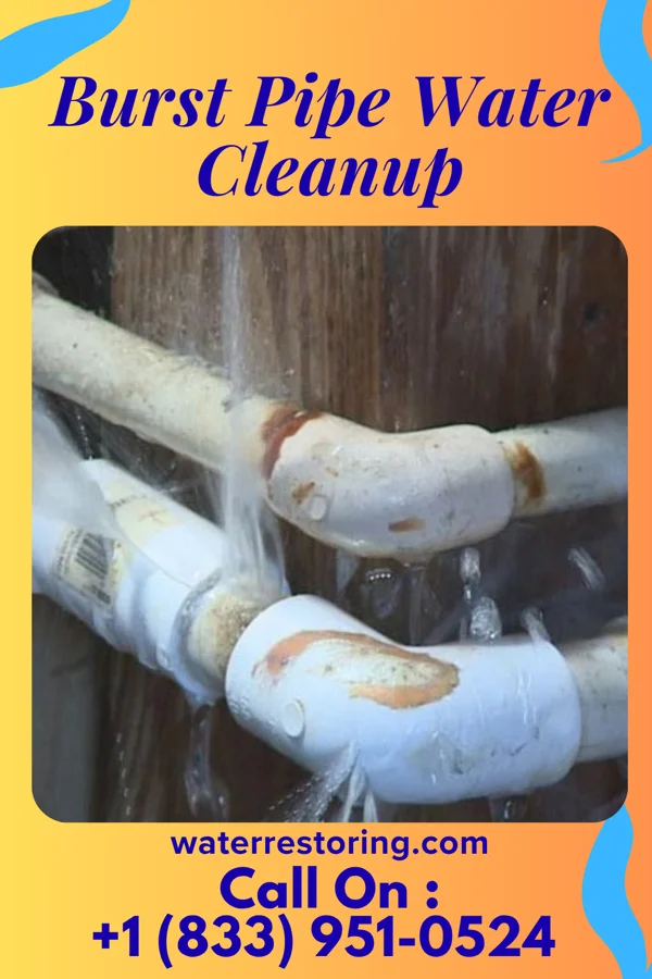 Burst Pipe Water Cleanup in Paxtang, PA