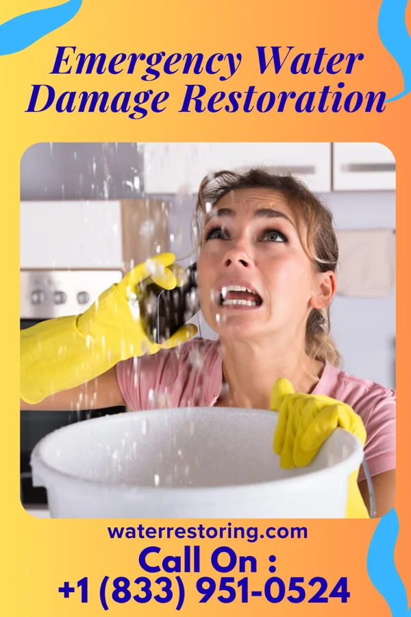 Emergency Water Damage Restoration in Paxtang, PA