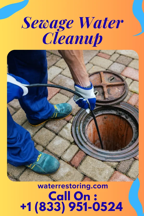 Sewage Water Cleanup in Paxtang, PA